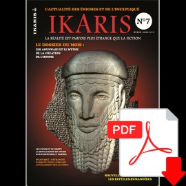 Magazine n°7 (Version PDF)