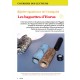 Magazine n°1 (Version PDF)