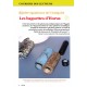 Magazine n°31 (Version PDF)