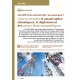 Magazine n°1 (Version PDF)